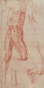 Estudo de um nu masculino, alongando para cima